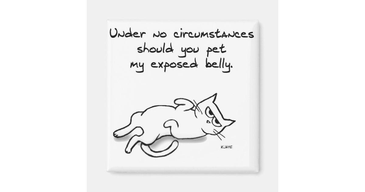 Never Pet The Cat Belly Funny Cat Fridge Magnet Zazzle Com