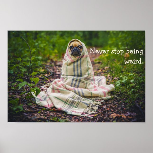 Never Stop Being Weird Pug in Blanket Poster (Front)