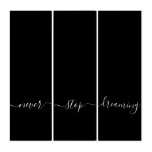Never Stop Dreaming Calligraphy Black White Quote Triptych