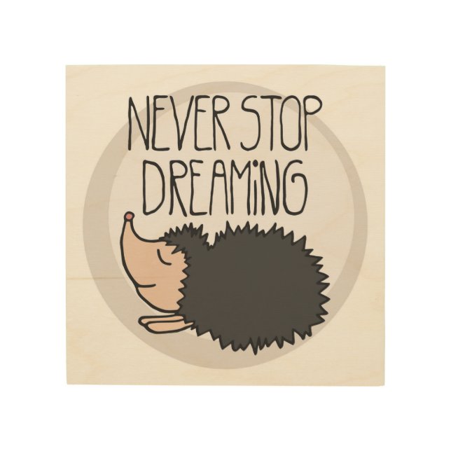 Never Stop Dreaming Wood Wall Decor (Front)