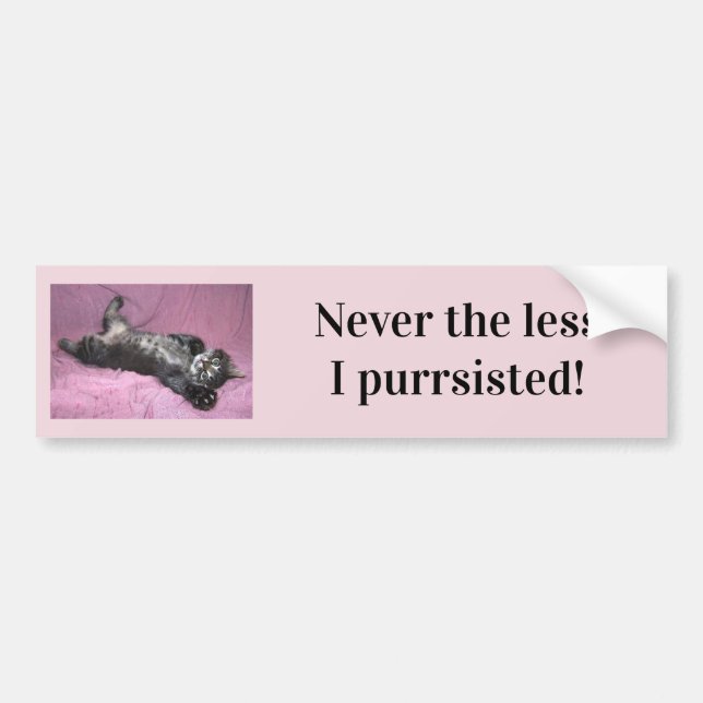 Never the less I purrsisted Bumper Sticker (Front)