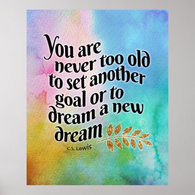 Never too old to dream  poster (Front)