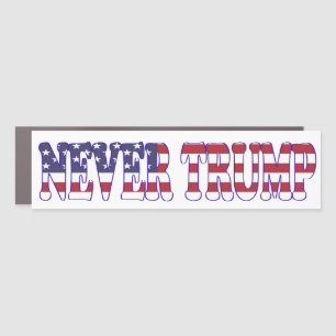 Never Trump - Stop Project 2025 - Defend Democracy Car Magnet