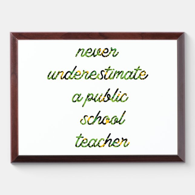 never underestimate a public school teacher 03 award plaque (Horizontal)