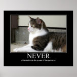 Never Underestimate Cat Artwork Poster at Zazzle