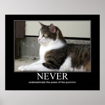 Never Underestimate Cat Artwork Poster by artisticcats at Zazzle