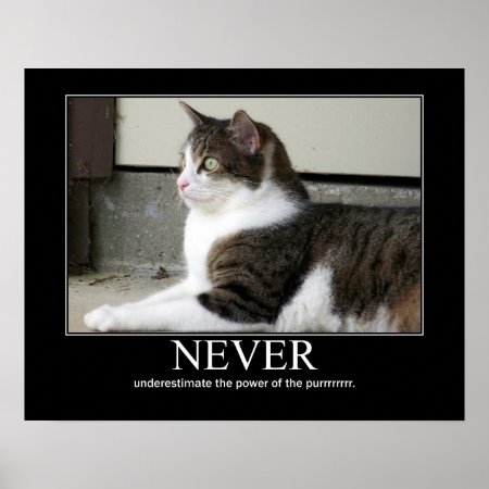 Never Underestimate Cat Artwork Poster