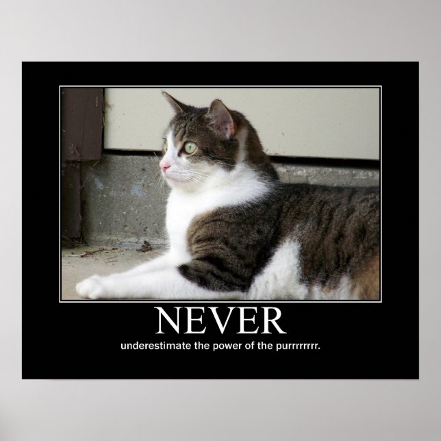 Never Underestimate Cat Artwork Poster (Front)
