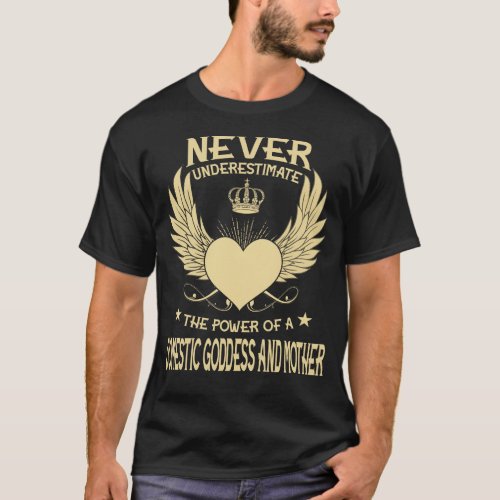 Never Underestimate The Power Of AAn Domestic God T_Shirt