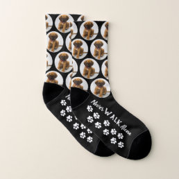 Never Walk Alone Paw Prints Pet Pet Photo Dog Socks