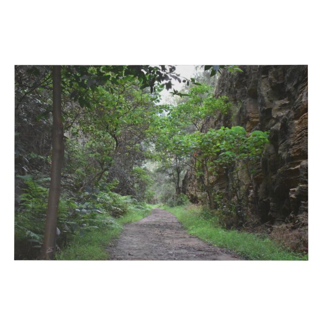 Neverending Mountain  Trail Faux Canvas Print (Front)