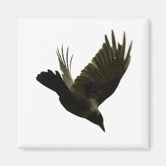 nevermore magnet