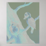 Neville Hp Cayley - Laughing Kookaburra Poster at Zazzle