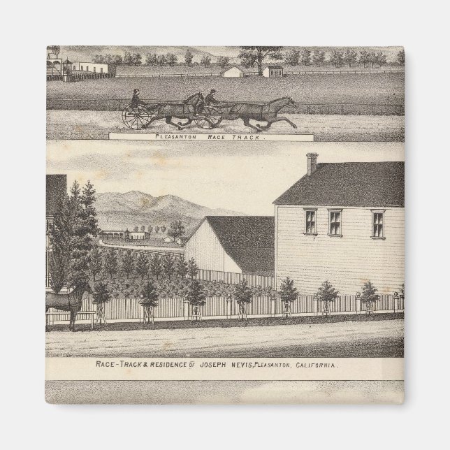 Nevis, Green residences, farms Magnet (Front)