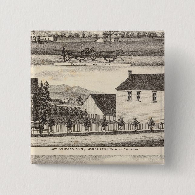 Nevis, Green residences, farms Pinback Button (Front)