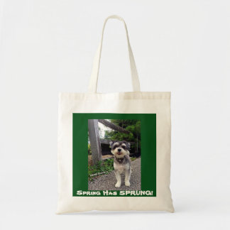 *NEW* 2015 Spring Has SPRUNG! Carmine Winston tote