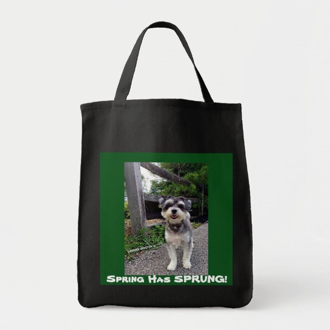 *NEW* 2015 Spring Has SPRUNG! Carmine Winston tote (Front)