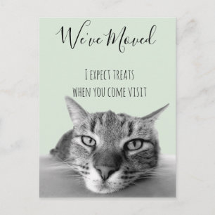 New Address Announcement From Cat Funny Postcard