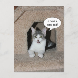 New Address Announcement Postcard