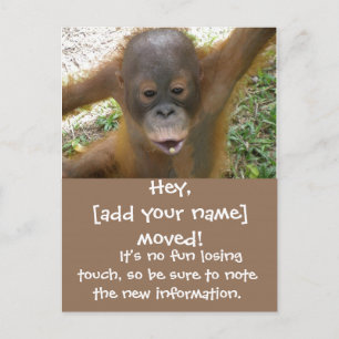 New Address Moving Announcement Postcard