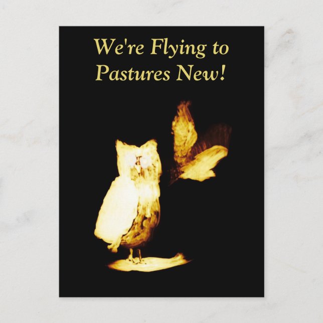 New Address Moving Home Owls Postcard (Front)