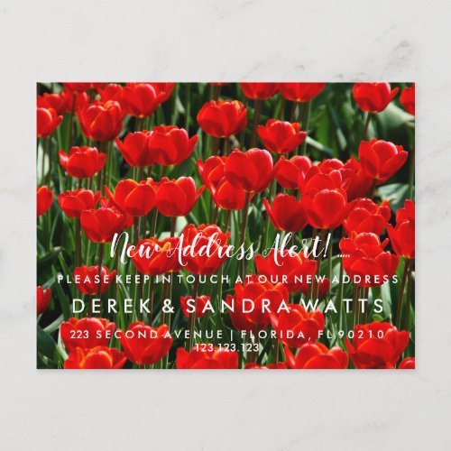 new address red tulips Announcement Postcard