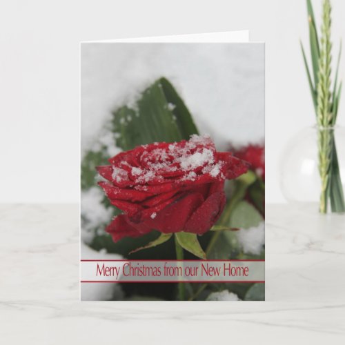 New Address Winter rose Christmas card