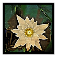 New Age Zen Buddhism Yoga Namaste White Lotus Poster