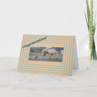 New Arrival Card