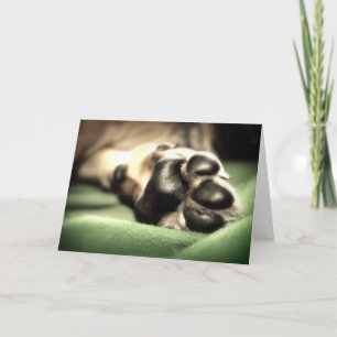 New Arrival Card