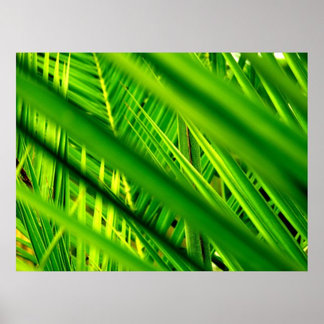 (New Arrival) Poster Print (Front)