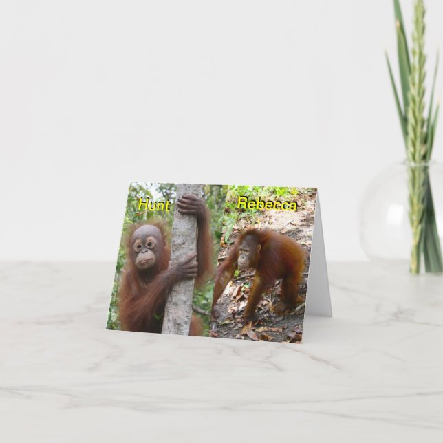 New Baby Announcement (Front)