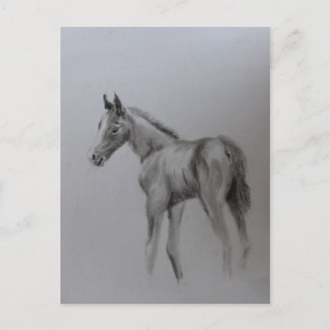 New Baby Announcement Postcard (Front)