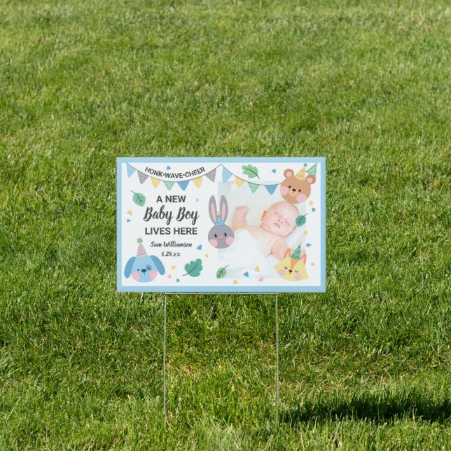 New Baby Boy Lives Here Baby Photo, Cute Animals Sign (Insitu)