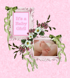 covers scrapbook albums zazzle
