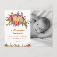 new baby little pumpkin fall photo postcard