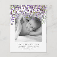 new baby neutral lavender photo postcard