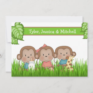 New Baby Triplets Girl And Two Boys Cute Monkey Announcement