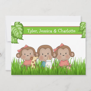 New Baby Triplets Two Girls And Boy Cute Monkey Announcement