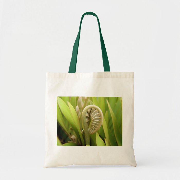 New Beginning for the Cardboard Palm Tote Bags