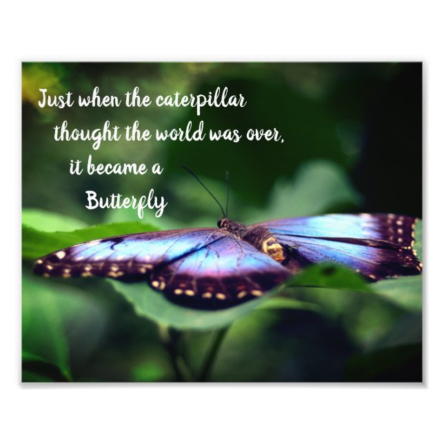 New Beginnings Butterfly Inspirational Quote 8x10 Photo Print (Front)