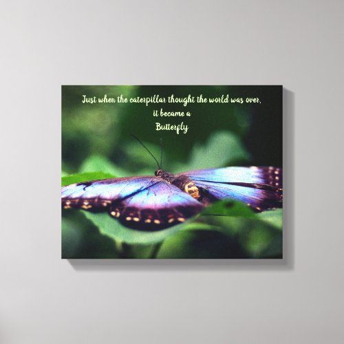 New Beginnings Butterfly Inspirational Quote Canvas Print