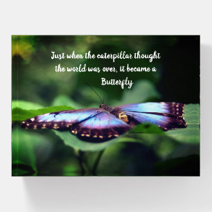 New Beginnings Butterfly Inspirational Quote Paperweight
