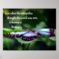 New Beginnings Butterfly Inspirational Quote