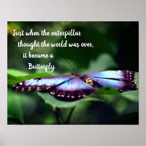 New Beginnings Butterfly Inspirational Quote Poster