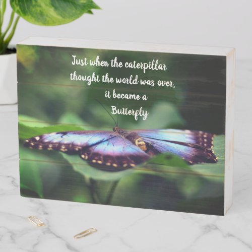 New Beginnings Butterfly Inspirational Quote Wooden Box Sign