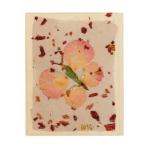 New Beginnings Lucky Butterfly wood wall art