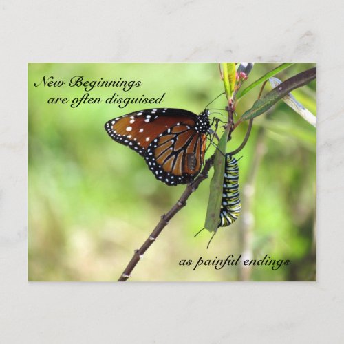 New Beginnings Postcard