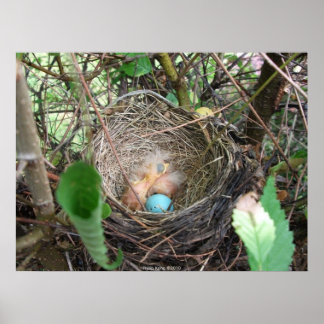 New Beginnings Poster