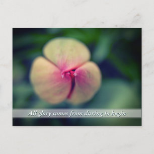 New Beginnings Spring Tulip Flower Postcard